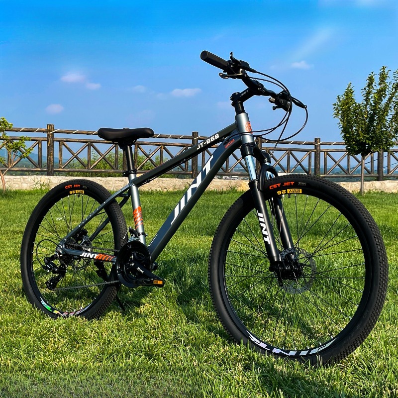 Wholesale Aluminum Alloy 26 In - Commuter Biking ulasan dan harga